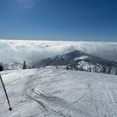 Kopaonik -Beautiful View Apartment- Skiing Kültér fotó