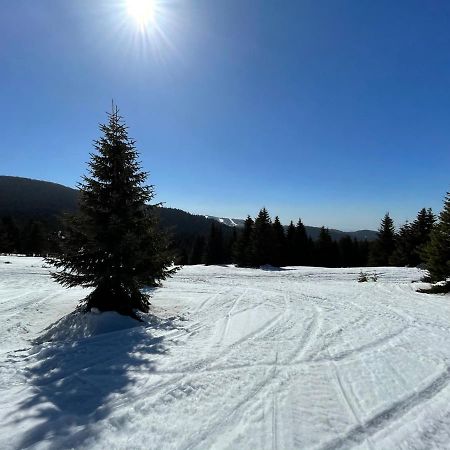 Kopaonik -Beautiful View Apartment- Skiing Kültér fotó