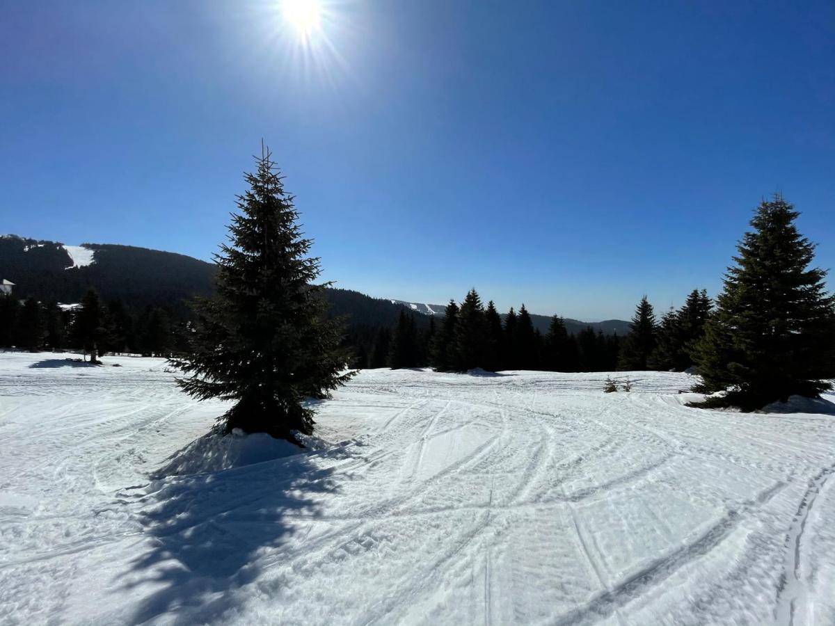 Kopaonik -Beautiful View Apartment- Skiing Kültér fotó